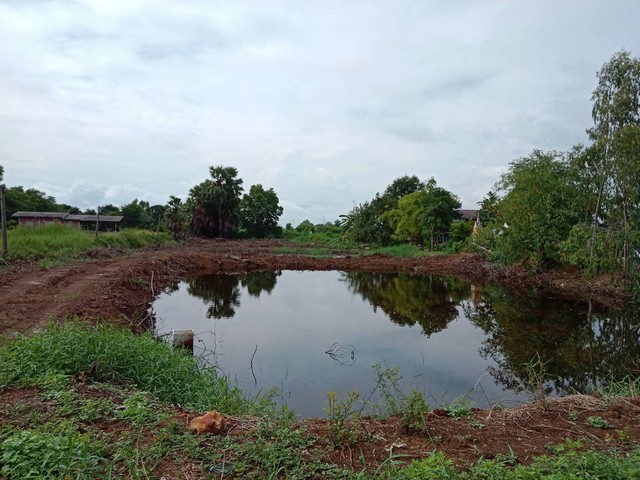 ประกาศฟรี! ซื้อ-ขาย-เช่า คอนโด บ้าน ทาวน์โฮม ที่ดิน และพื้นที่เชิงพาณิชย์ทั่วประเทศไทย ทุกทำเล ทุกงบประมาณ ไม่มีค่าใช้จ่าย ลงง่าย ขายไว เข้าถึงผู้ซื้อโดยตรง 4 120927pic3.jpg