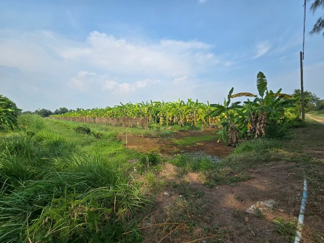 ประกาศฟรี! ซื้อ-ขาย-เช่า คอนโด บ้าน ทาวน์โฮม ที่ดิน และพื้นที่เชิงพาณิชย์ทั่วประเทศไทย ทุกทำเล ทุกงบประมาณ ไม่มีค่าใช้จ่าย ลงง่าย ขายไว เข้าถึงผู้ซื้อโดยตรง 2 292609pic1.jpg