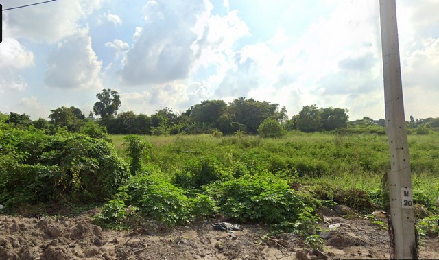 ประกาศฟรี! ซื้อ-ขาย-เช่า คอนโด บ้าน ทาวน์โฮม ที่ดิน และพื้นที่เชิงพาณิชย์ทั่วประเทศไทย ทุกทำเล ทุกงบประมาณ ไม่มีค่าใช้จ่าย ลงง่าย ขายไว เข้าถึงผู้ซื้อโดยตรง 2 204046pic1.jpg