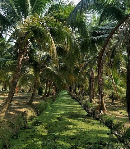 ประกาศฟรี! ซื้อ-ขาย-เช่า คอนโด บ้าน ทาวน์โฮม ที่ดิน และพื้นที่เชิงพาณิชย์ทั่วประเทศไทย ทุกทำเล ทุกงบประมาณ ไม่มีค่าใช้จ่าย ลงง่าย ขายไว เข้าถึงผู้ซื้อโดยตรง 5 183799pic4.jpg