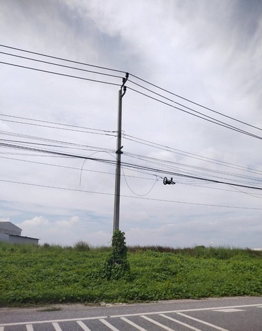 ประกาศฟรี! ซื้อ-ขาย-เช่า คอนโด บ้าน ทาวน์โฮม ที่ดิน และพื้นที่เชิงพาณิชย์ทั่วประเทศไทย ทุกทำเล ทุกงบประมาณ ไม่มีค่าใช้จ่าย ลงง่าย ขายไว เข้าถึงผู้ซื้อโดยตรง 2 177510pic1.jpg