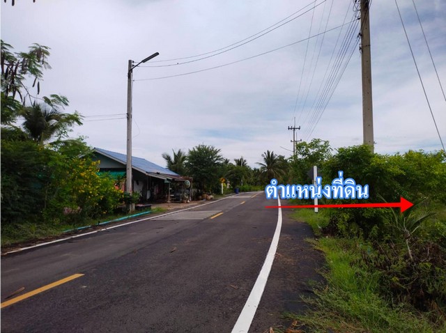 ประกาศฟรี! ซื้อ-ขาย-เช่า คอนโด บ้าน ทาวน์โฮม ที่ดิน และพื้นที่เชิงพาณิชย์ทั่วประเทศไทย ทุกทำเล ทุกงบประมาณ ไม่มีค่าใช้จ่าย ลงง่าย ขายไว เข้าถึงผู้ซื้อโดยตรง 4 169153pic3.jpg