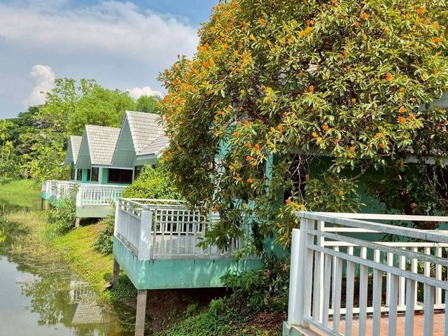 ประกาศฟรี! ซื้อ-ขาย-เช่า คอนโด บ้าน ทาวน์โฮม ที่ดิน และพื้นที่เชิงพาณิชย์ทั่วประเทศไทย ทุกทำเล ทุกงบประมาณ ไม่มีค่าใช้จ่าย ลงง่าย ขายไว เข้าถึงผู้ซื้อโดยตรง 3 205238pic2.jpg