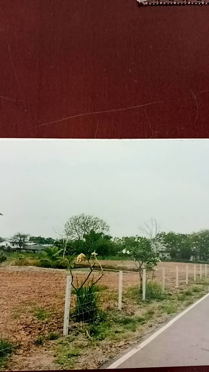 ประกาศฟรี! ซื้อ-ขาย-เช่า คอนโด บ้าน ทาวน์โฮม ที่ดิน และพื้นที่เชิงพาณิชย์ทั่วประเทศไทย ทุกทำเล ทุกงบประมาณ ไม่มีค่าใช้จ่าย ลงง่าย ขายไว เข้าถึงผู้ซื้อโดยตรง 2 165926pic1.jpg