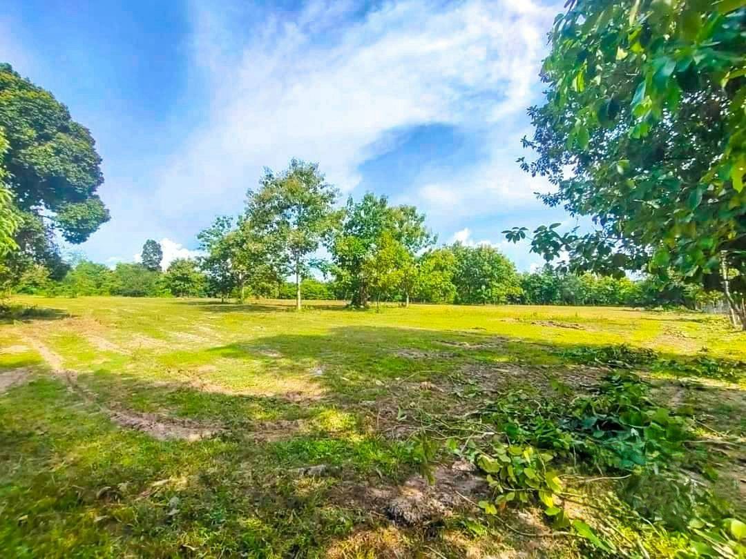 ประกาศฟรี! ซื้อ-ขาย-เช่า คอนโด บ้าน ทาวน์โฮม ที่ดิน และพื้นที่เชิงพาณิชย์ทั่วประเทศไทย ทุกทำเล ทุกงบประมาณ ไม่มีค่าใช้จ่าย ลงง่าย ขายไว เข้าถึงผู้ซื้อโดยตรง 4 205547pic3.jpg