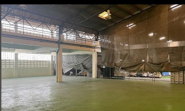 ประกาศฟรี! ซื้อ-ขาย-เช่า คอนโด บ้าน ทาวน์โฮม ที่ดิน และพื้นที่เชิงพาณิชย์ทั่วประเทศไทย ทุกทำเล ทุกงบประมาณ ไม่มีค่าใช้จ่าย ลงง่าย ขายไว เข้าถึงผู้ซื้อโดยตรง 3 493610pic2.jpg