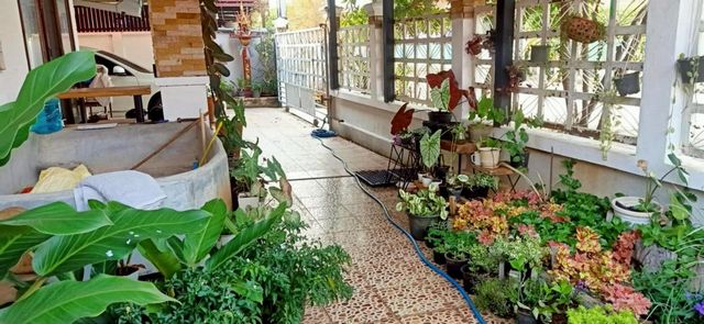 ประกาศฟรี! ซื้อ-ขาย-เช่า คอนโด บ้าน ทาวน์โฮม ที่ดิน และพื้นที่เชิงพาณิชย์ทั่วประเทศไทย ทุกทำเล ทุกงบประมาณ ไม่มีค่าใช้จ่าย ลงง่าย ขายไว เข้าถึงผู้ซื้อโดยตรง 3 206149pic2.jpg