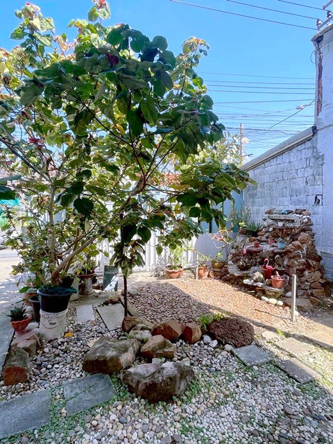 ประกาศฟรี! ซื้อ-ขาย-เช่า คอนโด บ้าน ทาวน์โฮม ที่ดิน และพื้นที่เชิงพาณิชย์ทั่วประเทศไทย ทุกทำเล ทุกงบประมาณ ไม่มีค่าใช้จ่าย ลงง่าย ขายไว เข้าถึงผู้ซื้อโดยตรง 5 205531pic4.jpg