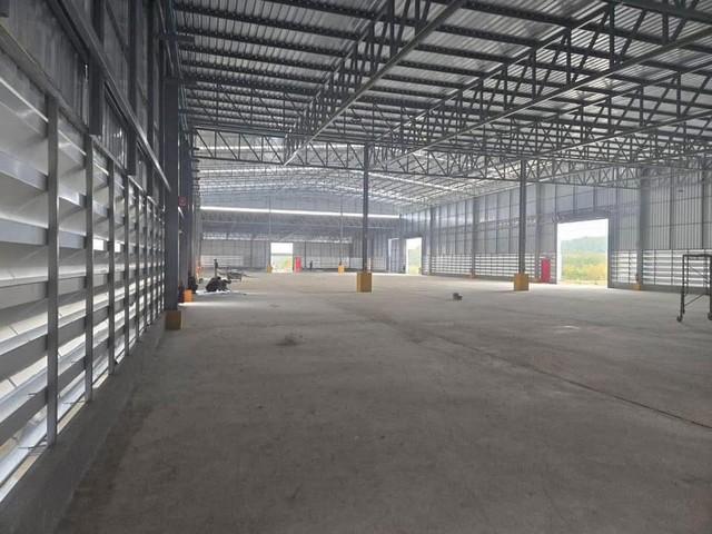 ประกาศฟรี! ซื้อ-ขาย-เช่า คอนโด บ้าน ทาวน์โฮม ที่ดิน และพื้นที่เชิงพาณิชย์ทั่วประเทศไทย ทุกทำเล ทุกงบประมาณ ไม่มีค่าใช้จ่าย ลงง่าย ขายไว เข้าถึงผู้ซื้อโดยตรง 3 493979pic2.jpg