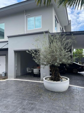 ประกาศฟรี! ซื้อ-ขาย-เช่า คอนโด บ้าน ทาวน์โฮม ที่ดิน และพื้นที่เชิงพาณิชย์ทั่วประเทศไทย ทุกทำเล ทุกงบประมาณ ไม่มีค่าใช้จ่าย ลงง่าย ขายไว เข้าถึงผู้ซื้อโดยตรง 4 206545pic3.jpg