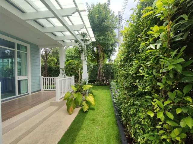 ประกาศฟรี! ซื้อ-ขาย-เช่า คอนโด บ้าน ทาวน์โฮม ที่ดิน และพื้นที่เชิงพาณิชย์ทั่วประเทศไทย ทุกทำเล ทุกงบประมาณ ไม่มีค่าใช้จ่าย ลงง่าย ขายไว เข้าถึงผู้ซื้อโดยตรง 3 494176pic2.jpg