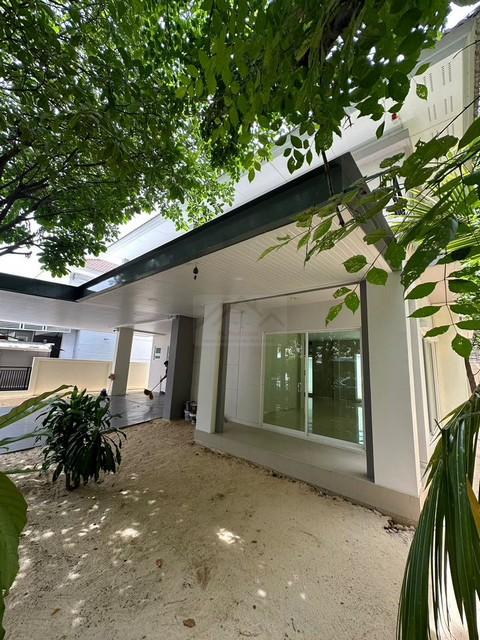 ประกาศฟรี! ซื้อ-ขาย-เช่า คอนโด บ้าน ทาวน์โฮม ที่ดิน และพื้นที่เชิงพาณิชย์ทั่วประเทศไทย ทุกทำเล ทุกงบประมาณ ไม่มีค่าใช้จ่าย ลงง่าย ขายไว เข้าถึงผู้ซื้อโดยตรง 3 494379pic2.jpg