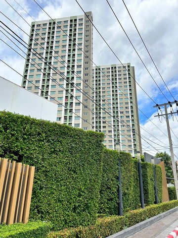 ประกาศฟรี! ซื้อ-ขาย-เช่า คอนโด บ้าน ทาวน์โฮม ที่ดิน และพื้นที่เชิงพาณิชย์ทั่วประเทศไทย ทุกทำเล ทุกงบประมาณ ไม่มีค่าใช้จ่าย ลงง่าย ขายไว เข้าถึงผู้ซื้อโดยตรง 2 193506pic1.jpg