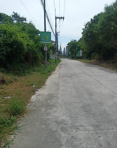 ประกาศฟรี! ซื้อ-ขาย-เช่า คอนโด บ้าน ทาวน์โฮม ที่ดิน และพื้นที่เชิงพาณิชย์ทั่วประเทศไทย ทุกทำเล ทุกงบประมาณ ไม่มีค่าใช้จ่าย ลงง่าย ขายไว เข้าถึงผู้ซื้อโดยตรง 2 204214pic1.jpg