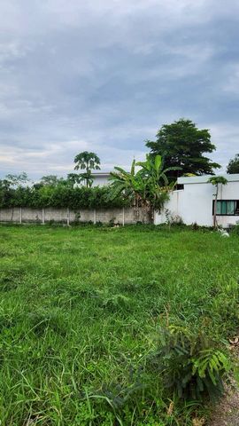 ประกาศฟรี! ซื้อ-ขาย-เช่า คอนโด บ้าน ทาวน์โฮม ที่ดิน และพื้นที่เชิงพาณิชย์ทั่วประเทศไทย ทุกทำเล ทุกงบประมาณ ไม่มีค่าใช้จ่าย ลงง่าย ขายไว เข้าถึงผู้ซื้อโดยตรง 4 208383pic3.jpg