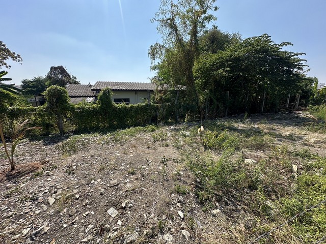 ประกาศฟรี! ซื้อ-ขาย-เช่า คอนโด บ้าน ทาวน์โฮม ที่ดิน และพื้นที่เชิงพาณิชย์ทั่วประเทศไทย ทุกทำเล ทุกงบประมาณ ไม่มีค่าใช้จ่าย ลงง่าย ขายไว เข้าถึงผู้ซื้อโดยตรง 5 284351pic4.jpg