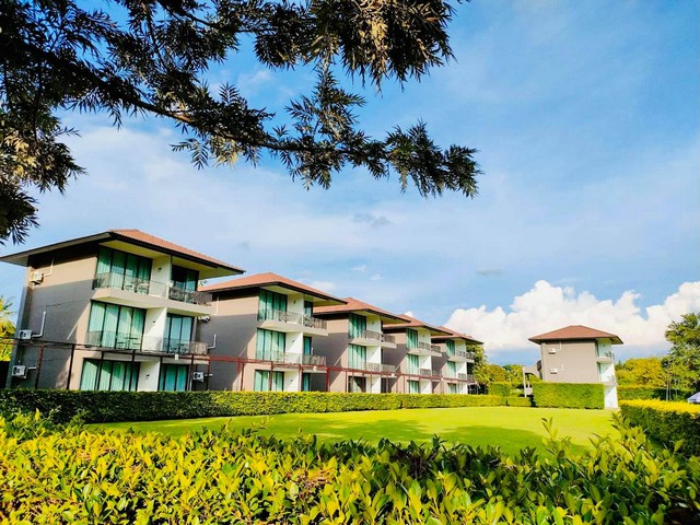 ประกาศฟรี! ซื้อ-ขาย-เช่า คอนโด บ้าน ทาวน์โฮม ที่ดิน และพื้นที่เชิงพาณิชย์ทั่วประเทศไทย ทุกทำเล ทุกงบประมาณ ไม่มีค่าใช้จ่าย ลงง่าย ขายไว เข้าถึงผู้ซื้อโดยตรง 3 286832pic2.jpg