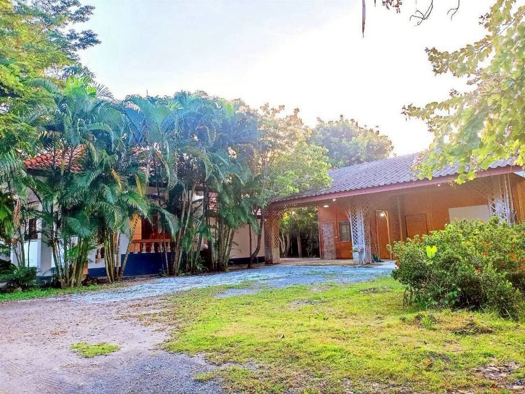 ประกาศฟรี! ซื้อ-ขาย-เช่า คอนโด บ้าน ทาวน์โฮม ที่ดิน และพื้นที่เชิงพาณิชย์ทั่วประเทศไทย ทุกทำเล ทุกงบประมาณ ไม่มีค่าใช้จ่าย ลงง่าย ขายไว เข้าถึงผู้ซื้อโดยตรง 2 208635pic1.jpg