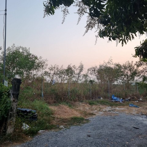 ประกาศฟรี! ซื้อ-ขาย-เช่า คอนโด บ้าน ทาวน์โฮม ที่ดิน และพื้นที่เชิงพาณิชย์ทั่วประเทศไทย ทุกทำเล ทุกงบประมาณ ไม่มีค่าใช้จ่าย ลงง่าย ขายไว เข้าถึงผู้ซื้อโดยตรง 4 493688pic3.jpg