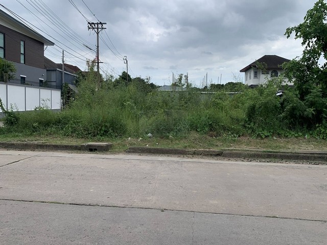 ประกาศฟรี! ซื้อ-ขาย-เช่า คอนโด บ้าน ทาวน์โฮม ที่ดิน และพื้นที่เชิงพาณิชย์ทั่วประเทศไทย ทุกทำเล ทุกงบประมาณ ไม่มีค่าใช้จ่าย ลงง่าย ขายไว เข้าถึงผู้ซื้อโดยตรง 2 495783pic1.jpg