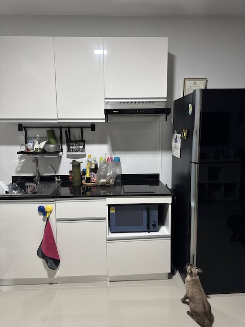 ประกาศฟรี! ซื้อ-ขาย-เช่า คอนโด บ้าน ทาวน์โฮม ที่ดิน และพื้นที่เชิงพาณิชย์ทั่วประเทศไทย ทุกทำเล ทุกงบประมาณ ไม่มีค่าใช้จ่าย ลงง่าย ขายไว เข้าถึงผู้ซื้อโดยตรง 5 496080pic4.jpg