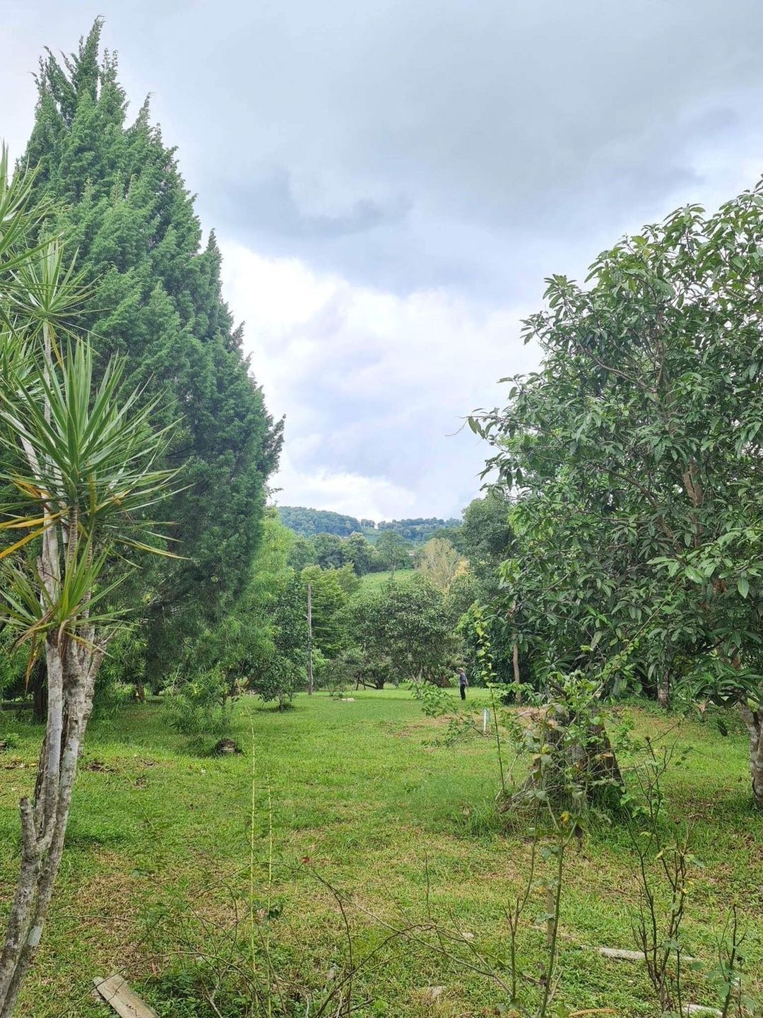 ประกาศฟรี! ซื้อ-ขาย-เช่า คอนโด บ้าน ทาวน์โฮม ที่ดิน และพื้นที่เชิงพาณิชย์ทั่วประเทศไทย ทุกทำเล ทุกงบประมาณ ไม่มีค่าใช้จ่าย ลงง่าย ขายไว เข้าถึงผู้ซื้อโดยตรง 2 210556pic1.jpg