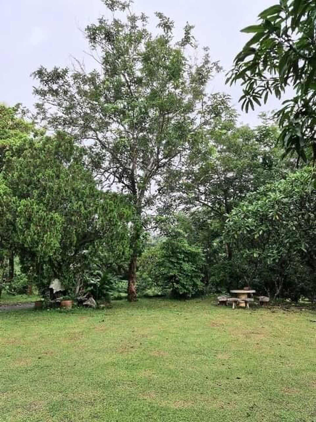 ประกาศฟรี! ซื้อ-ขาย-เช่า คอนโด บ้าน ทาวน์โฮม ที่ดิน และพื้นที่เชิงพาณิชย์ทั่วประเทศไทย ทุกทำเล ทุกงบประมาณ ไม่มีค่าใช้จ่าย ลงง่าย ขายไว เข้าถึงผู้ซื้อโดยตรง 3 210556pic2.jpg