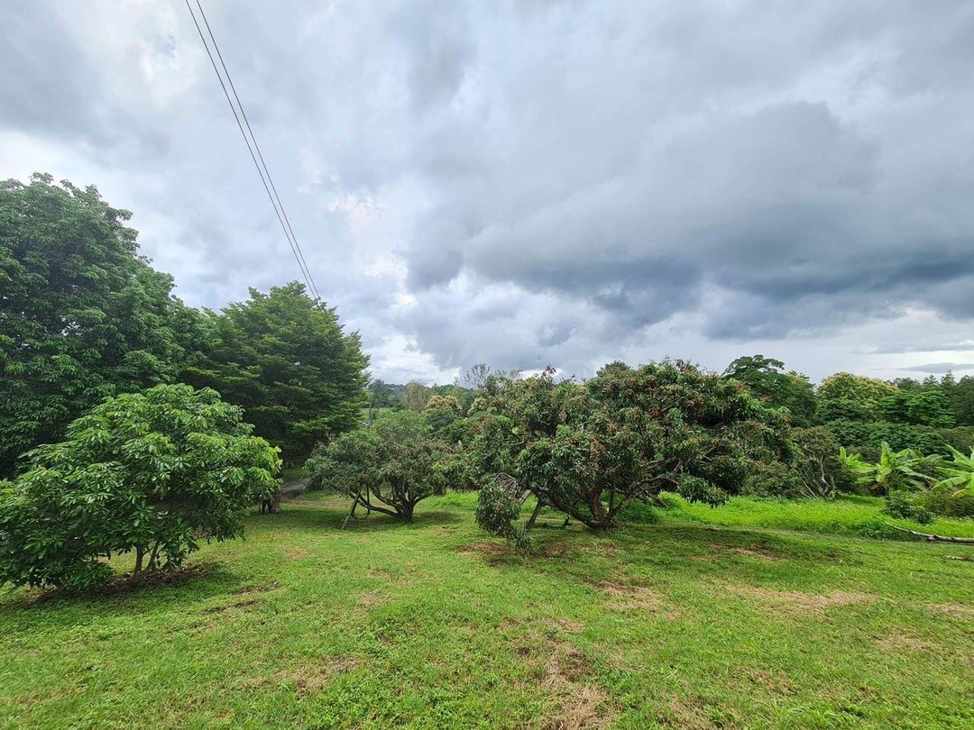 ประกาศฟรี! ซื้อ-ขาย-เช่า คอนโด บ้าน ทาวน์โฮม ที่ดิน และพื้นที่เชิงพาณิชย์ทั่วประเทศไทย ทุกทำเล ทุกงบประมาณ ไม่มีค่าใช้จ่าย ลงง่าย ขายไว เข้าถึงผู้ซื้อโดยตรง 5 210556pic4.jpg