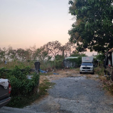 ประกาศฟรี! ซื้อ-ขาย-เช่า คอนโด บ้าน ทาวน์โฮม ที่ดิน และพื้นที่เชิงพาณิชย์ทั่วประเทศไทย ทุกทำเล ทุกงบประมาณ ไม่มีค่าใช้จ่าย ลงง่าย ขายไว เข้าถึงผู้ซื้อโดยตรง 2 493688pic1.jpg