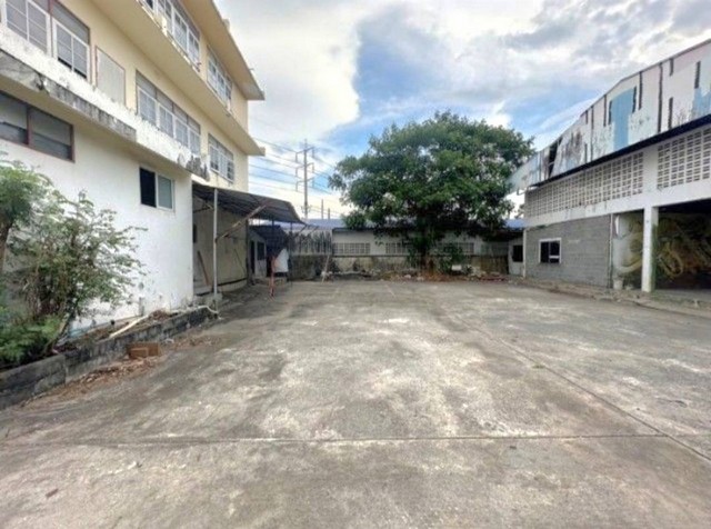 ประกาศฟรี! ซื้อ-ขาย-เช่า คอนโด บ้าน ทาวน์โฮม ที่ดิน และพื้นที่เชิงพาณิชย์ทั่วประเทศไทย ทุกทำเล ทุกงบประมาณ ไม่มีค่าใช้จ่าย ลงง่าย ขายไว เข้าถึงผู้ซื้อโดยตรง 3 495254pic2.jpg