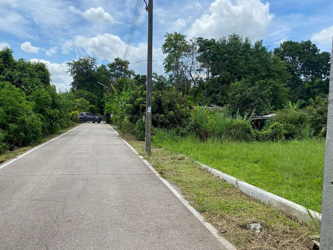 ประกาศฟรี! ซื้อ-ขาย-เช่า คอนโด บ้าน ทาวน์โฮม ที่ดิน และพื้นที่เชิงพาณิชย์ทั่วประเทศไทย ทุกทำเล ทุกงบประมาณ ไม่มีค่าใช้จ่าย ลงง่าย ขายไว เข้าถึงผู้ซื้อโดยตรง 3 210825pic2.jpg