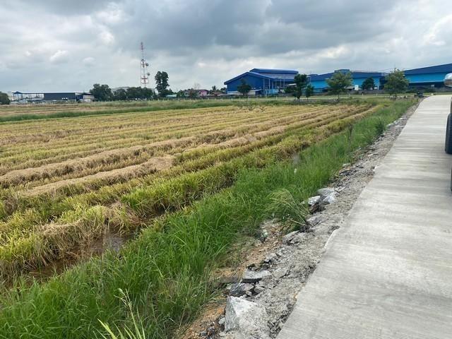 ประกาศฟรี! ซื้อ-ขาย-เช่า คอนโด บ้าน ทาวน์โฮม ที่ดิน และพื้นที่เชิงพาณิชย์ทั่วประเทศไทย ทุกทำเล ทุกงบประมาณ ไม่มีค่าใช้จ่าย ลงง่าย ขายไว เข้าถึงผู้ซื้อโดยตรง 3 494769pic2.jpg