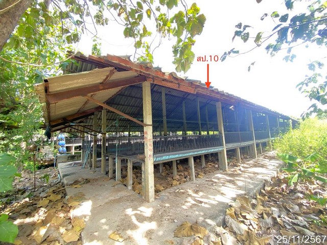 ประกาศฟรี! ซื้อ-ขาย-เช่า คอนโด บ้าน ทาวน์โฮม ที่ดิน และพื้นที่เชิงพาณิชย์ทั่วประเทศไทย ทุกทำเล ทุกงบประมาณ ไม่มีค่าใช้จ่าย ลงง่าย ขายไว เข้าถึงผู้ซื้อโดยตรง 2 210455pic1.jpg