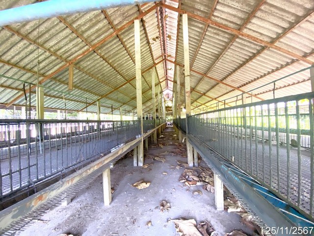 ประกาศฟรี! ซื้อ-ขาย-เช่า คอนโด บ้าน ทาวน์โฮม ที่ดิน และพื้นที่เชิงพาณิชย์ทั่วประเทศไทย ทุกทำเล ทุกงบประมาณ ไม่มีค่าใช้จ่าย ลงง่าย ขายไว เข้าถึงผู้ซื้อโดยตรง 3 210455pic2.jpg