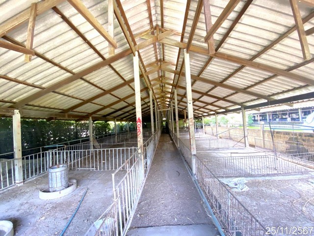 ประกาศฟรี! ซื้อ-ขาย-เช่า คอนโด บ้าน ทาวน์โฮม ที่ดิน และพื้นที่เชิงพาณิชย์ทั่วประเทศไทย ทุกทำเล ทุกงบประมาณ ไม่มีค่าใช้จ่าย ลงง่าย ขายไว เข้าถึงผู้ซื้อโดยตรง 4 210455pic3.jpg