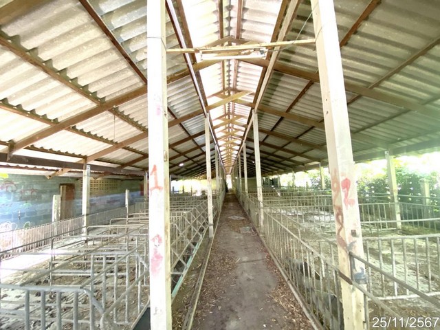 ประกาศฟรี! ซื้อ-ขาย-เช่า คอนโด บ้าน ทาวน์โฮม ที่ดิน และพื้นที่เชิงพาณิชย์ทั่วประเทศไทย ทุกทำเล ทุกงบประมาณ ไม่มีค่าใช้จ่าย ลงง่าย ขายไว เข้าถึงผู้ซื้อโดยตรง 5 210455pic4.jpg