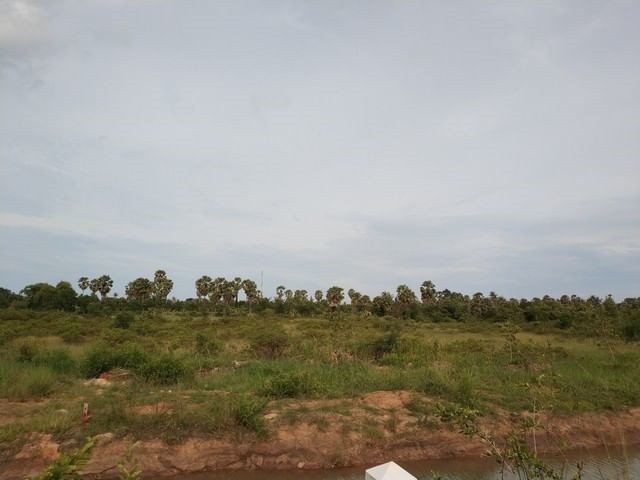 ประกาศฟรี! ซื้อ-ขาย-เช่า คอนโด บ้าน ทาวน์โฮม ที่ดิน และพื้นที่เชิงพาณิชย์ทั่วประเทศไทย ทุกทำเล ทุกงบประมาณ ไม่มีค่าใช้จ่าย ลงง่าย ขายไว เข้าถึงผู้ซื้อโดยตรง 2 296967pic1.jpg