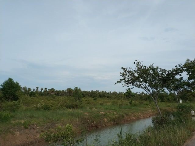 ประกาศฟรี! ซื้อ-ขาย-เช่า คอนโด บ้าน ทาวน์โฮม ที่ดิน และพื้นที่เชิงพาณิชย์ทั่วประเทศไทย ทุกทำเล ทุกงบประมาณ ไม่มีค่าใช้จ่าย ลงง่าย ขายไว เข้าถึงผู้ซื้อโดยตรง 5 296967pic4.jpg