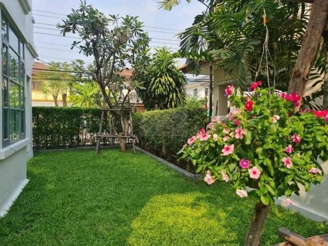 ประกาศฟรี! ซื้อ-ขาย-เช่า คอนโด บ้าน ทาวน์โฮม ที่ดิน และพื้นที่เชิงพาณิชย์ทั่วประเทศไทย ทุกทำเล ทุกงบประมาณ ไม่มีค่าใช้จ่าย ลงง่าย ขายไว เข้าถึงผู้ซื้อโดยตรง 3 496763pic2.jpg