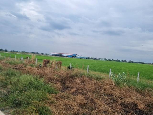 ประกาศฟรี! ซื้อ-ขาย-เช่า คอนโด บ้าน ทาวน์โฮม ที่ดิน และพื้นที่เชิงพาณิชย์ทั่วประเทศไทย ทุกทำเล ทุกงบประมาณ ไม่มีค่าใช้จ่าย ลงง่าย ขายไว เข้าถึงผู้ซื้อโดยตรง 3 487652pic2.jpg