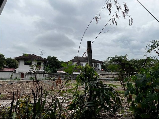 ประกาศฟรี! ซื้อ-ขาย-เช่า คอนโด บ้าน ทาวน์โฮม ที่ดิน และพื้นที่เชิงพาณิชย์ทั่วประเทศไทย ทุกทำเล ทุกงบประมาณ ไม่มีค่าใช้จ่าย ลงง่าย ขายไว เข้าถึงผู้ซื้อโดยตรง 3 496797pic2.jpg