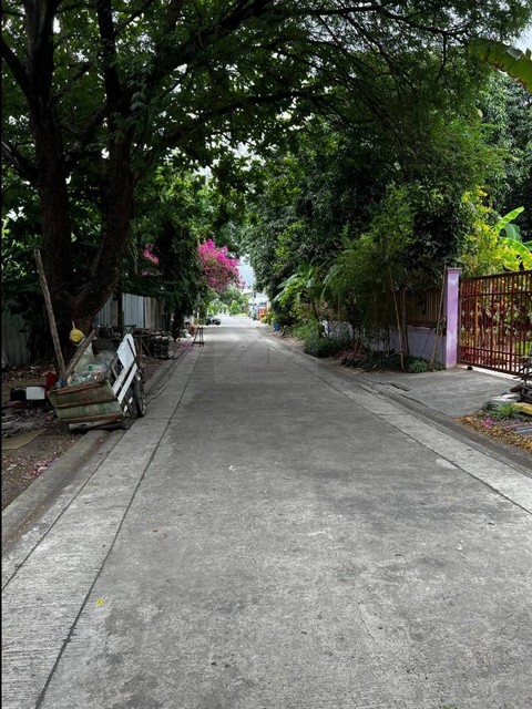 ประกาศฟรี! ซื้อ-ขาย-เช่า คอนโด บ้าน ทาวน์โฮม ที่ดิน และพื้นที่เชิงพาณิชย์ทั่วประเทศไทย ทุกทำเล ทุกงบประมาณ ไม่มีค่าใช้จ่าย ลงง่าย ขายไว เข้าถึงผู้ซื้อโดยตรง 4 496797pic3.jpg