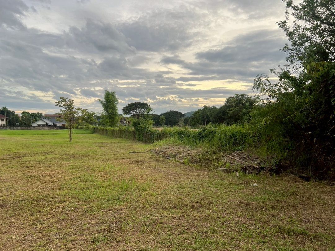 ประกาศฟรี! ซื้อ-ขาย-เช่า คอนโด บ้าน ทาวน์โฮม ที่ดิน และพื้นที่เชิงพาณิชย์ทั่วประเทศไทย ทุกทำเล ทุกงบประมาณ ไม่มีค่าใช้จ่าย ลงง่าย ขายไว เข้าถึงผู้ซื้อโดยตรง 5 213307pic4.jpg