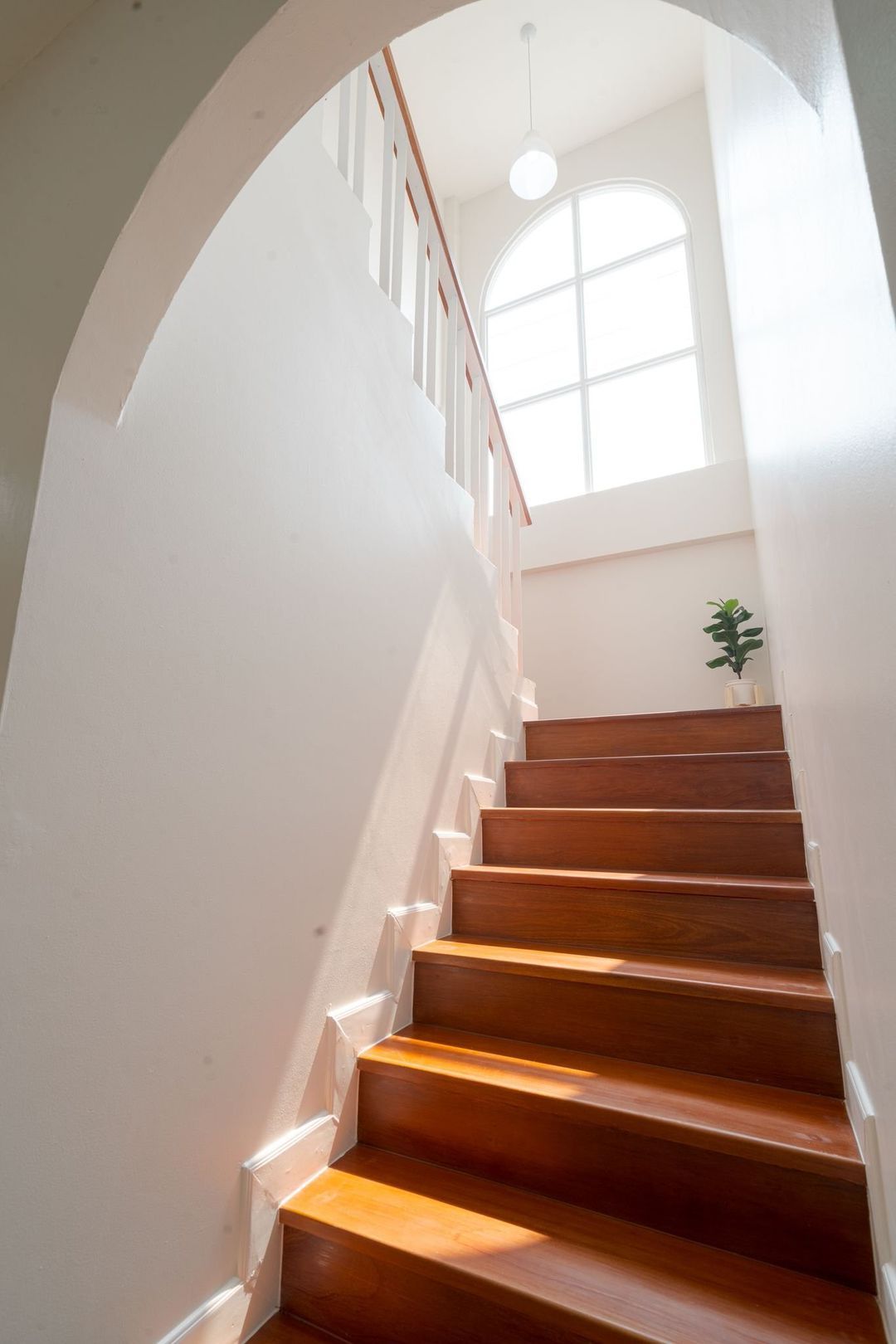 ประกาศฟรี! ซื้อ-ขาย-เช่า คอนโด บ้าน ทาวน์โฮม ที่ดิน และพื้นที่เชิงพาณิชย์ทั่วประเทศไทย ทุกทำเล ทุกงบประมาณ ไม่มีค่าใช้จ่าย ลงง่าย ขายไว เข้าถึงผู้ซื้อโดยตรง 4 213297pic3.jpg