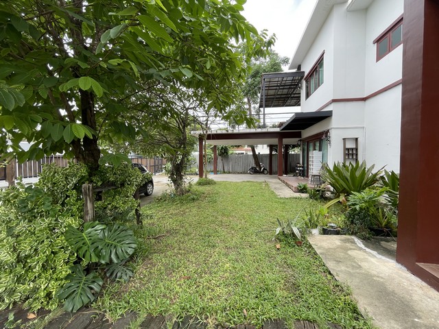 ประกาศฟรี! ซื้อ-ขาย-เช่า คอนโด บ้าน ทาวน์โฮม ที่ดิน และพื้นที่เชิงพาณิชย์ทั่วประเทศไทย ทุกทำเล ทุกงบประมาณ ไม่มีค่าใช้จ่าย ลงง่าย ขายไว เข้าถึงผู้ซื้อโดยตรง 3 497089pic2.jpg