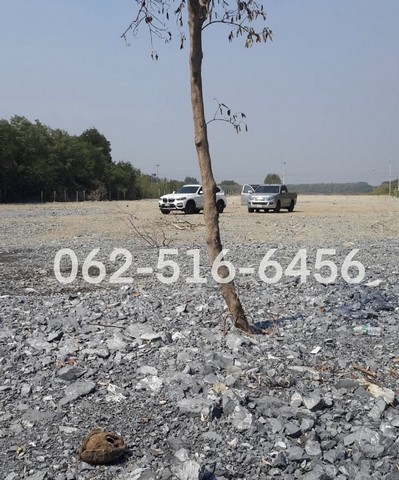 ประกาศฟรี! ซื้อ-ขาย-เช่า คอนโด บ้าน ทาวน์โฮม ที่ดิน และพื้นที่เชิงพาณิชย์ทั่วประเทศไทย ทุกทำเล ทุกงบประมาณ ไม่มีค่าใช้จ่าย ลงง่าย ขายไว เข้าถึงผู้ซื้อโดยตรง 4 265577pic3.jpg