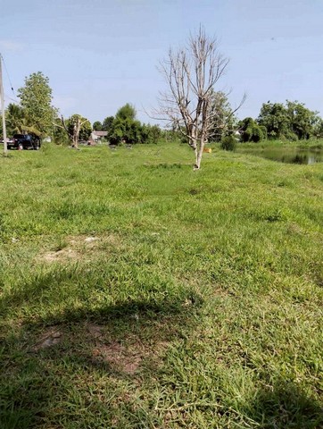 ประกาศฟรี! ซื้อ-ขาย-เช่า คอนโด บ้าน ทาวน์โฮม ที่ดิน และพื้นที่เชิงพาณิชย์ทั่วประเทศไทย ทุกทำเล ทุกงบประมาณ ไม่มีค่าใช้จ่าย ลงง่าย ขายไว เข้าถึงผู้ซื้อโดยตรง 2 213792pic1.jpg