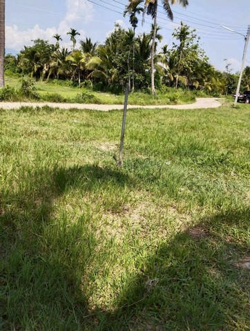 ประกาศฟรี! ซื้อ-ขาย-เช่า คอนโด บ้าน ทาวน์โฮม ที่ดิน และพื้นที่เชิงพาณิชย์ทั่วประเทศไทย ทุกทำเล ทุกงบประมาณ ไม่มีค่าใช้จ่าย ลงง่าย ขายไว เข้าถึงผู้ซื้อโดยตรง 3 213792pic2.jpg