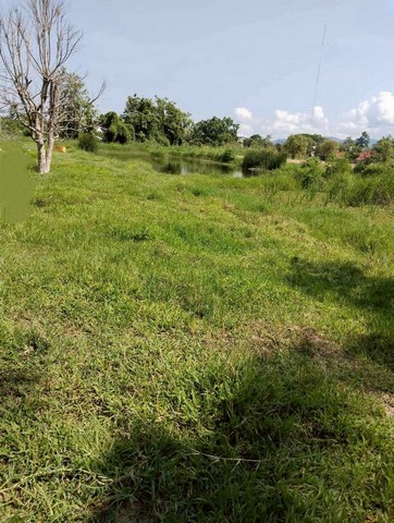 ประกาศฟรี! ซื้อ-ขาย-เช่า คอนโด บ้าน ทาวน์โฮม ที่ดิน และพื้นที่เชิงพาณิชย์ทั่วประเทศไทย ทุกทำเล ทุกงบประมาณ ไม่มีค่าใช้จ่าย ลงง่าย ขายไว เข้าถึงผู้ซื้อโดยตรง 4 213792pic3.jpg