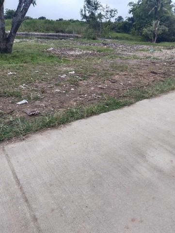 ประกาศฟรี! ซื้อ-ขาย-เช่า คอนโด บ้าน ทาวน์โฮม ที่ดิน และพื้นที่เชิงพาณิชย์ทั่วประเทศไทย ทุกทำเล ทุกงบประมาณ ไม่มีค่าใช้จ่าย ลงง่าย ขายไว เข้าถึงผู้ซื้อโดยตรง 5 213792pic4.jpg